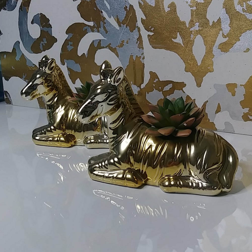 Gold Zebra plant holder